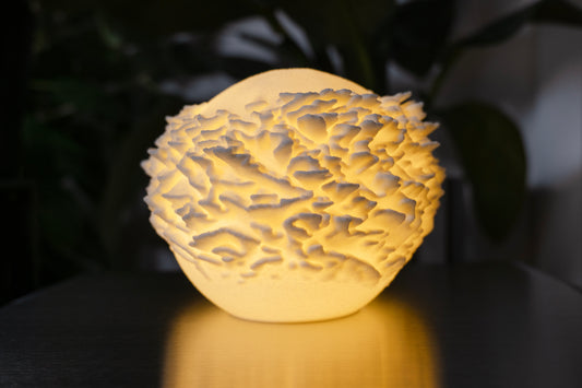 O14 - Plate Coral