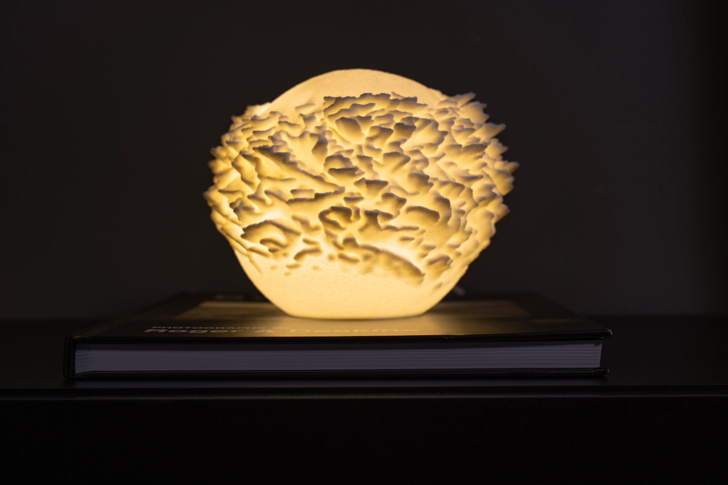 O14 - Plate Coral