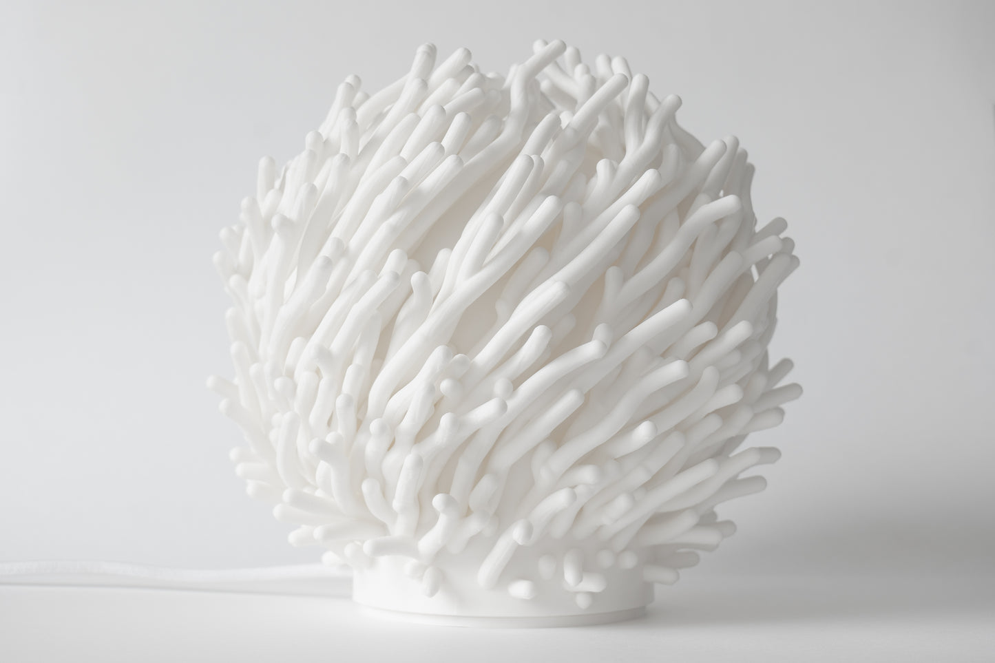 O7 - Coral