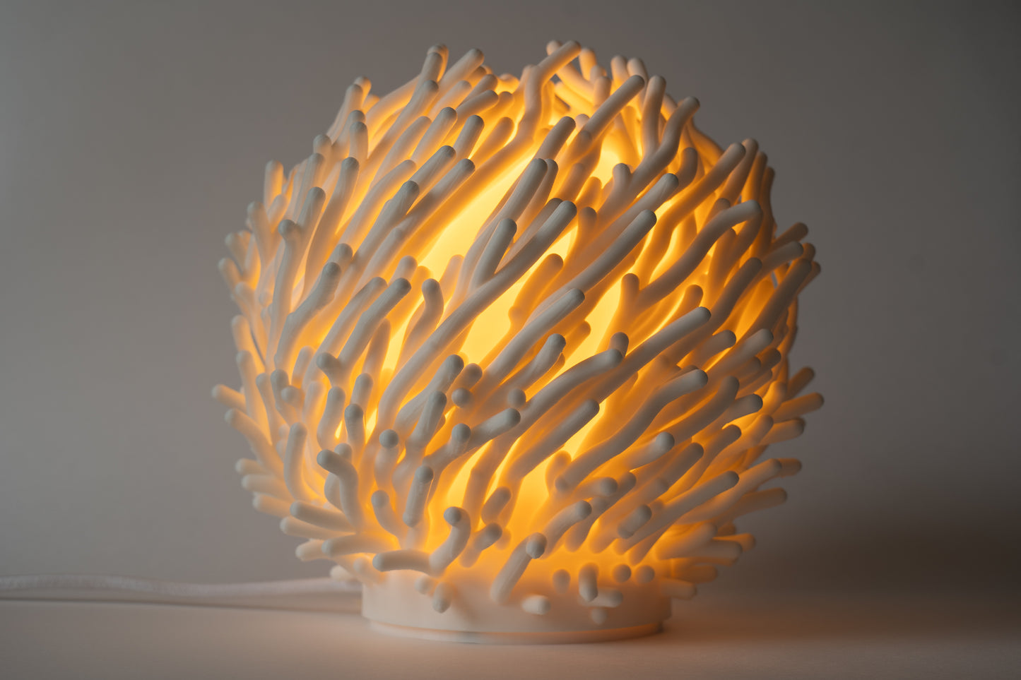 O7 - Coral