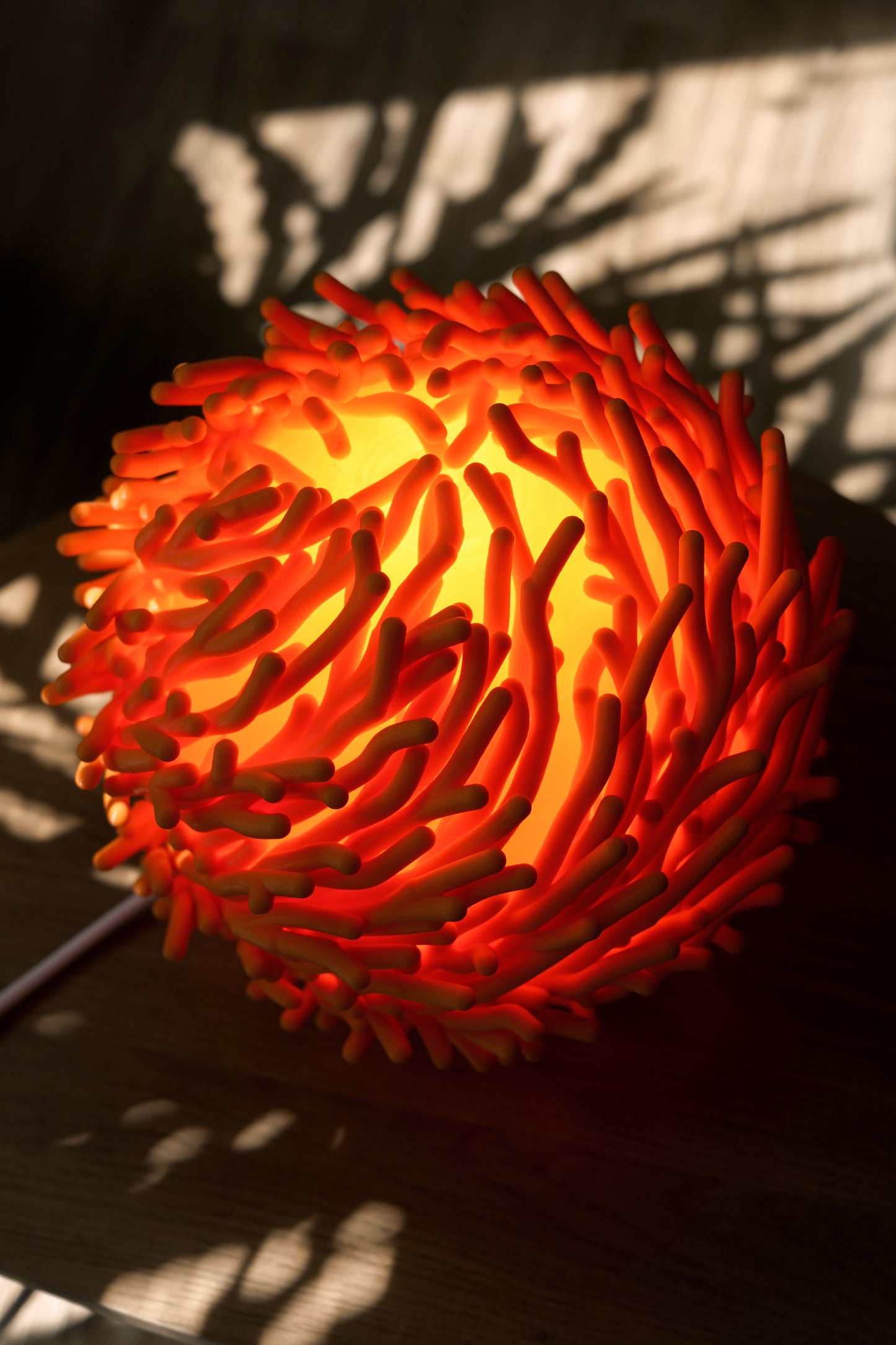 O7 - Coral