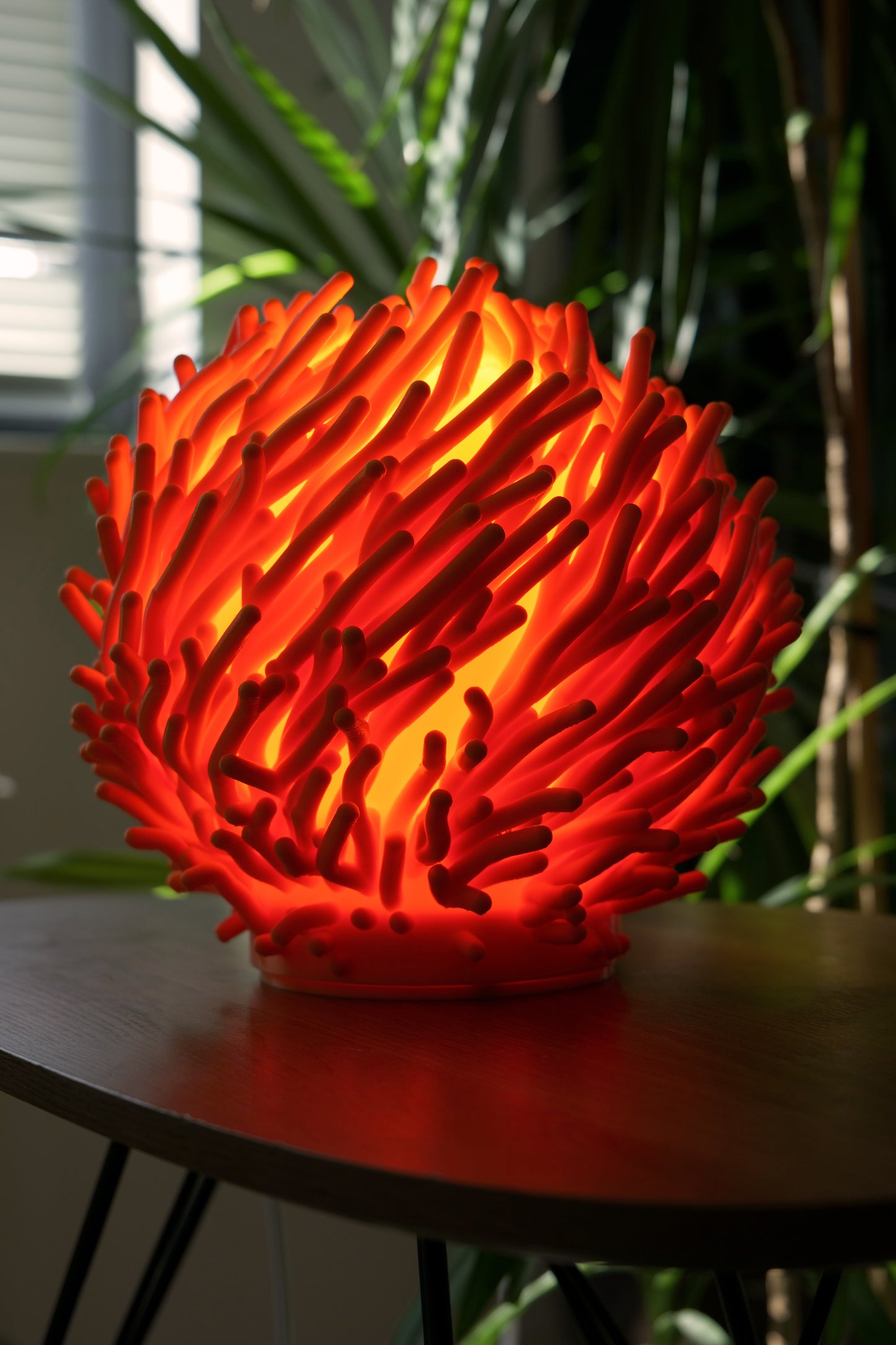 O7 - Coral