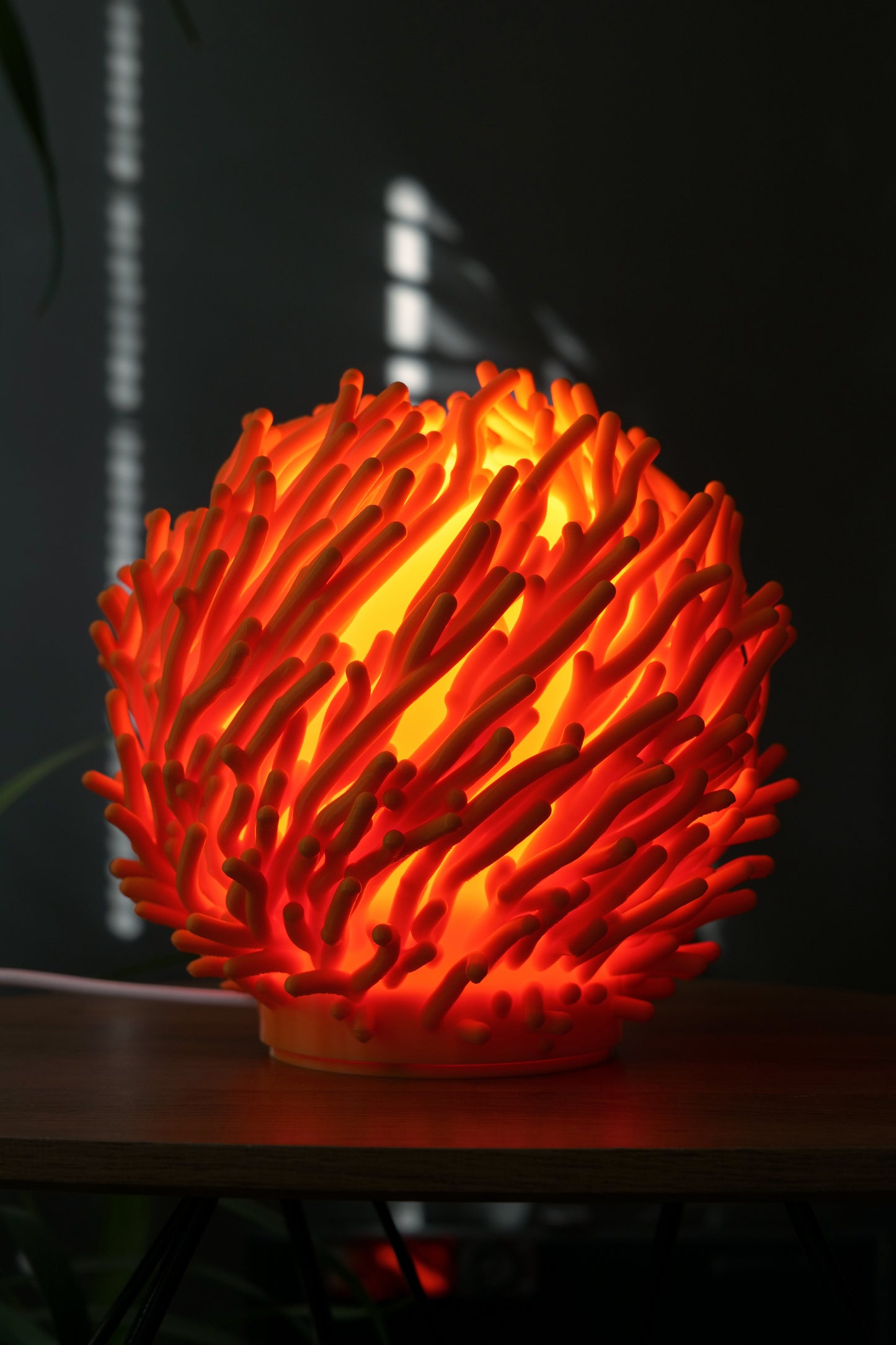 O7 - Coral