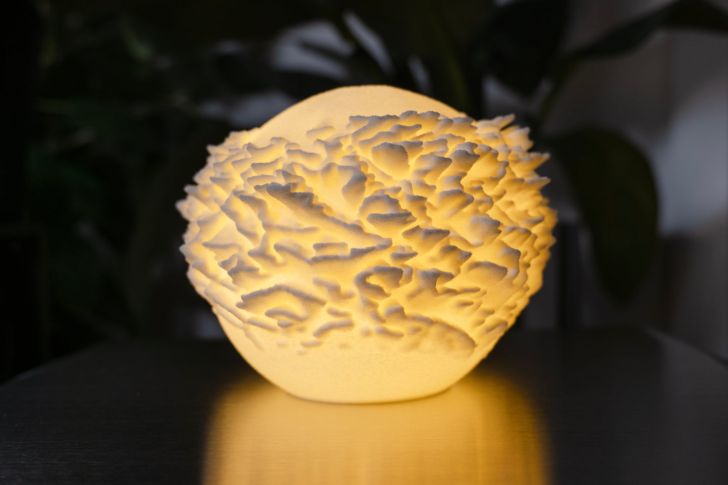 O14 - Plate Coral