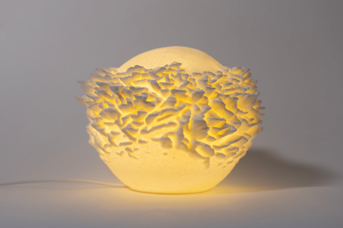 O14 - Plate Coral