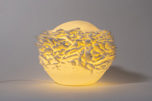 O14 - Plate Coral